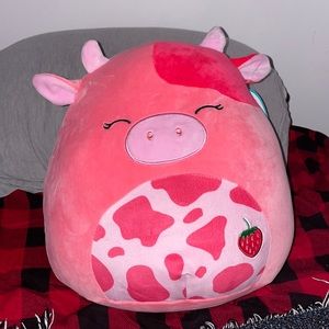 Calynda Squishmallow